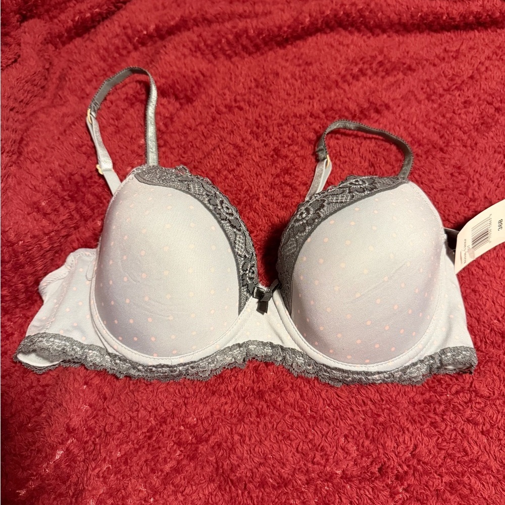 Rene Rofe Gray and Pink Lace Bra